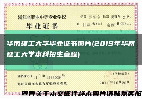 華南理工大學畢業證書圖片(2019年華南理工大學本科招生章程)縮略圖