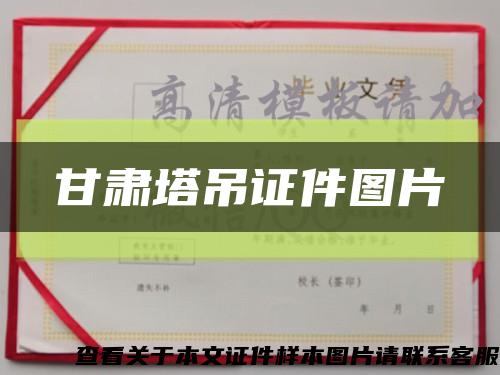 甘肅塔吊證件圖片縮略圖