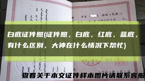 白底證件照(證件照，白底，紅底，藍底，有什么區別，大神在什么情況下幫忙)縮略圖