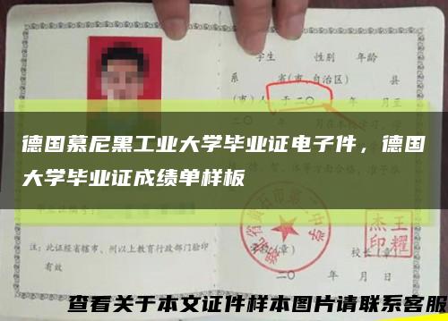 德國慕尼黑工業大學畢業證電子件，德國大學畢業證成績單樣板縮略圖