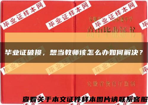 畢業證破損，想當教師該怎么辦如何解決？縮略圖