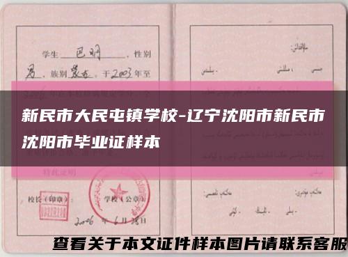 新民市大民屯鎮學校-遼寧沈陽市新民市沈陽市畢業證樣本縮略圖