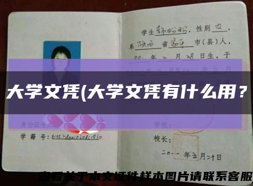 大學文憑(大學文憑有什么用？縮略圖
