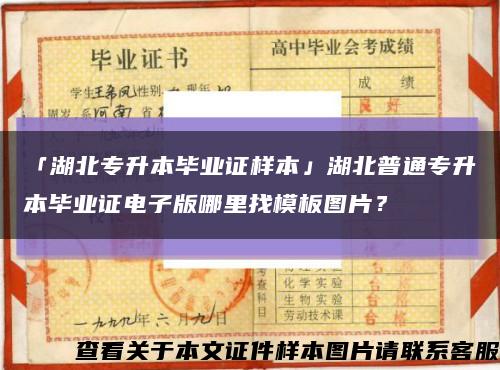 「湖北專升本畢業證樣本」湖北普通專升本畢業證電子版哪里找模板圖片？縮略圖