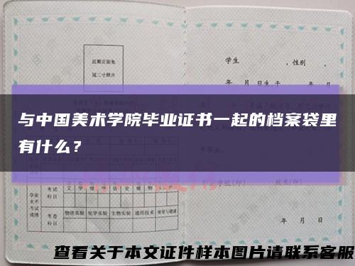 與中國美術學院畢業證書一起的檔案袋里有什么？縮略圖