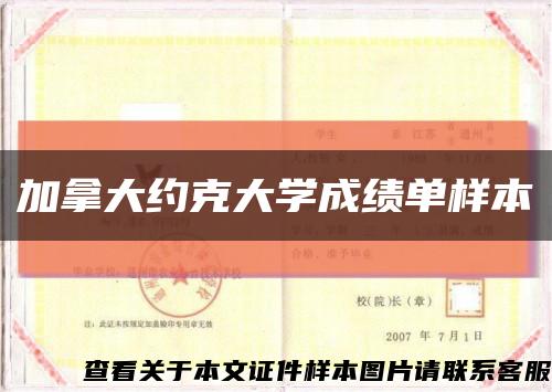 加拿大約克大學成績單樣本縮略圖