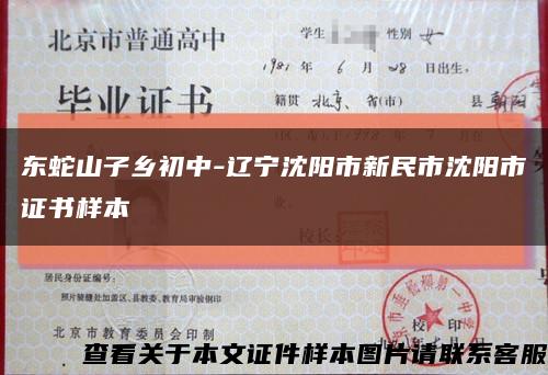 東蛇山子鄉初中-遼寧沈陽市新民市沈陽市證書樣本縮略圖
