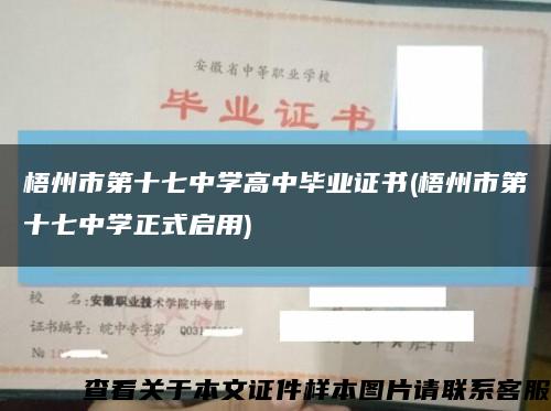 梧州市第十七中學高中畢業證書(梧州市第十七中學正式啟用)縮略圖