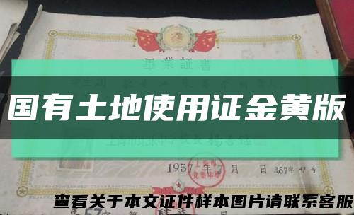 國有土地使用證金黃版縮略圖