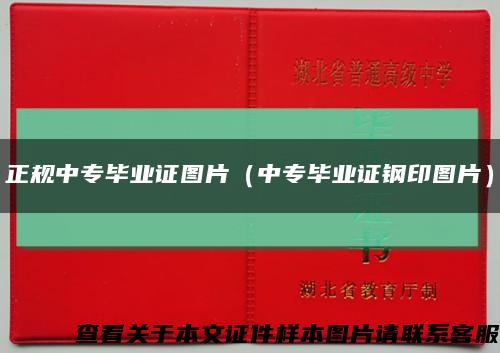 正規中專畢業證圖片（中專畢業證鋼印圖片）縮略圖