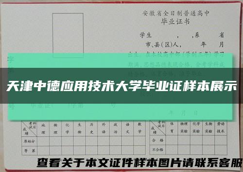 天津中德應用技術大學畢業證樣本展示縮略圖