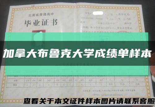 加拿大布魯克大學成績單樣本縮略圖