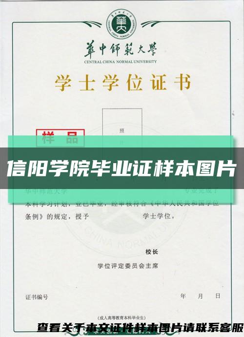 信陽學院畢業證樣本圖片縮略圖