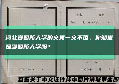 河北省四所大學的文憑一文不值。你知道是哪四所大學嗎？縮略圖