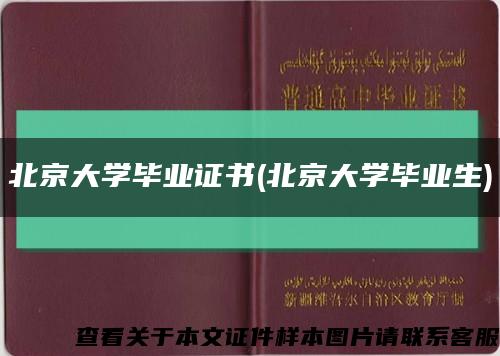 北京大學畢業證書(北京大學畢業生)縮略圖