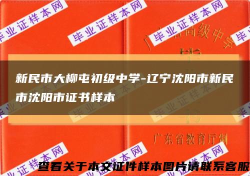 新民市大柳屯初級中學-遼寧沈陽市新民市沈陽市證書樣本縮略圖