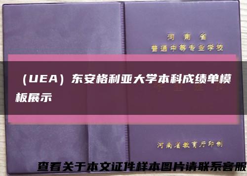 （UEA）東安格利亞大學本科成績單模板展示縮略圖