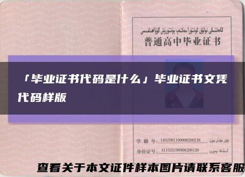 「畢業證書代碼是什么」畢業證書文憑代碼樣版縮略圖
