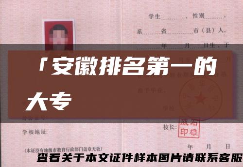 「安徽排名第一的大?？s略圖