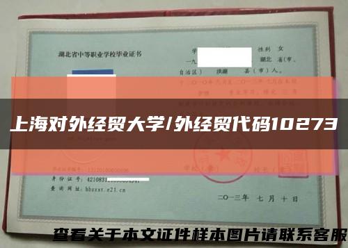 上海對外經貿大學/外經貿代碼10273縮略圖