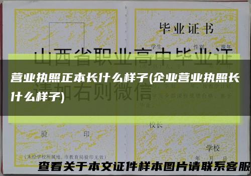 營業執照正本長什么樣子(企業營業執照長什么樣子)縮略圖