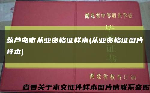 葫蘆島市從業資格證樣本(從業資格證圖片樣本)縮略圖