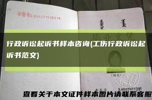 行政訴訟起訴書樣本咨詢(工傷行政訴訟起訴書范文)縮略圖