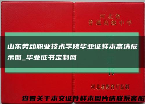 山東勞動職業技術學院畢業證樣本高清展示圖_畢業證書定制網縮略圖