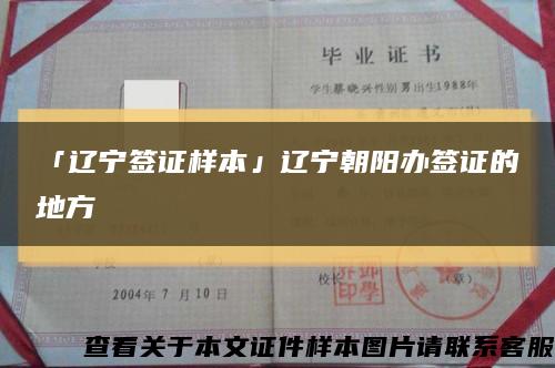 「遼寧簽證樣本」遼寧朝陽辦簽證的地方縮略圖