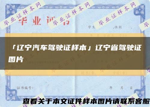 「遼寧汽車駕駛證樣本」遼寧省駕駛證圖片縮略圖