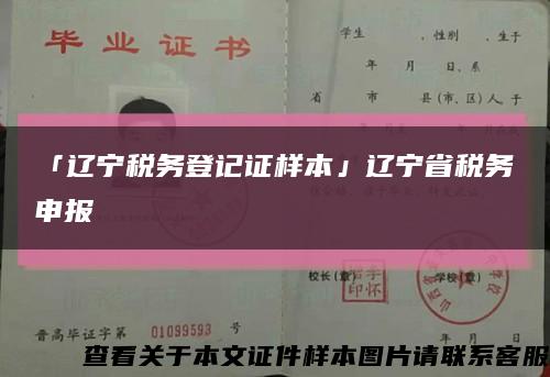 「遼寧稅務登記證樣本」遼寧省稅務申報縮略圖