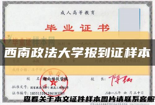 西南政法大學報到證樣本縮略圖