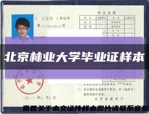 北京林業大學畢業證樣本縮略圖