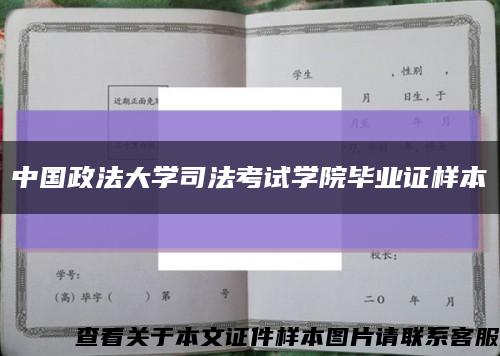 中國政法大學司法考試學院畢業證樣本縮略圖