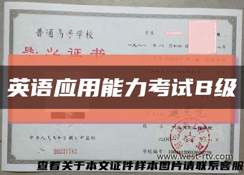 英語應用能力考試B級縮略圖