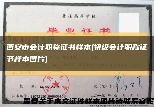 西安市會計職稱證書樣本(初級會計職稱證書樣本圖片)縮略圖
