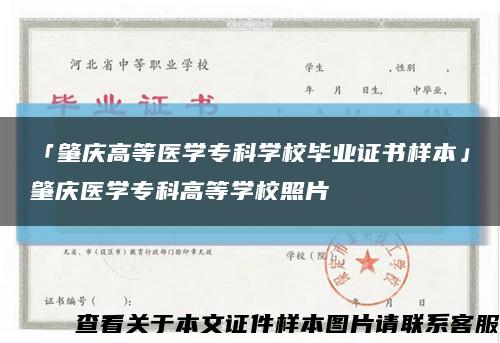 「肇慶高等醫學?？茖W校畢業證書樣本」肇慶醫學?？聘叩葘W校照片縮略圖