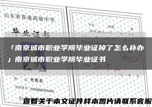 「南京城市職業學院畢業證掉了怎么補辦」南京城市職業學院畢業證書縮略圖