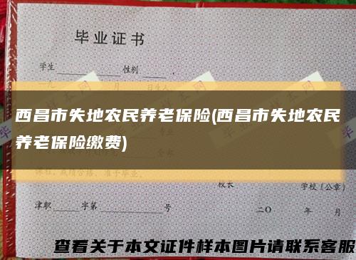 西昌市失地農民養老保險(西昌市失地農民養老保險繳費)縮略圖