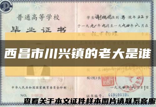 西昌市川興鎮的老大是誰縮略圖