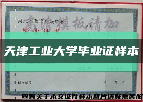 天津工業大學畢業證樣本縮略圖