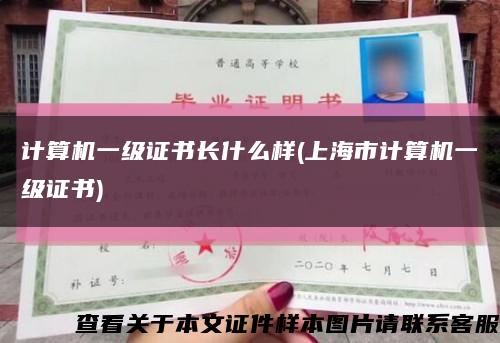 計算機一級證書長什么樣(上海市計算機一級證書)縮略圖