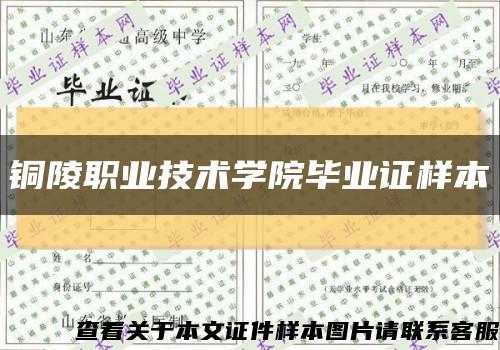 銅陵職業技術學院畢業證樣本縮略圖