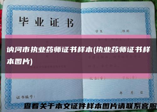 訥河市執業藥師證書樣本(執業藥師證書樣本圖片)縮略圖