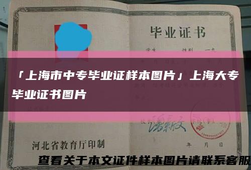 「上海市中專畢業證樣本圖片」上海大專畢業證書圖片縮略圖