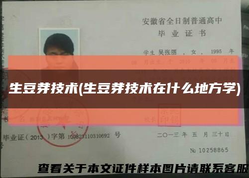生豆芽技術(生豆芽技術在什么地方學)縮略圖