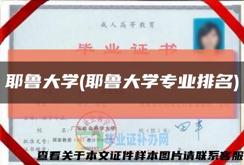 耶魯大學(耶魯大學專業排名)縮略圖