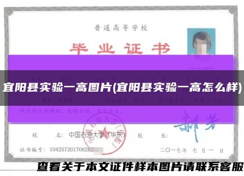 宜陽縣實驗一高圖片(宜陽縣實驗一高怎么樣)縮略圖