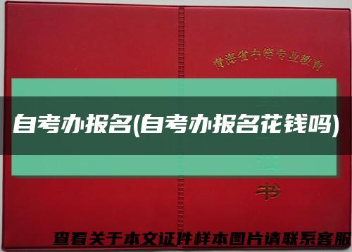 自考辦報名(自考辦報名花錢嗎)縮略圖