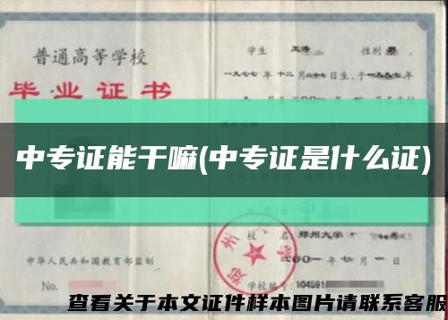 中專證能干嘛(中專證是什么證)縮略圖